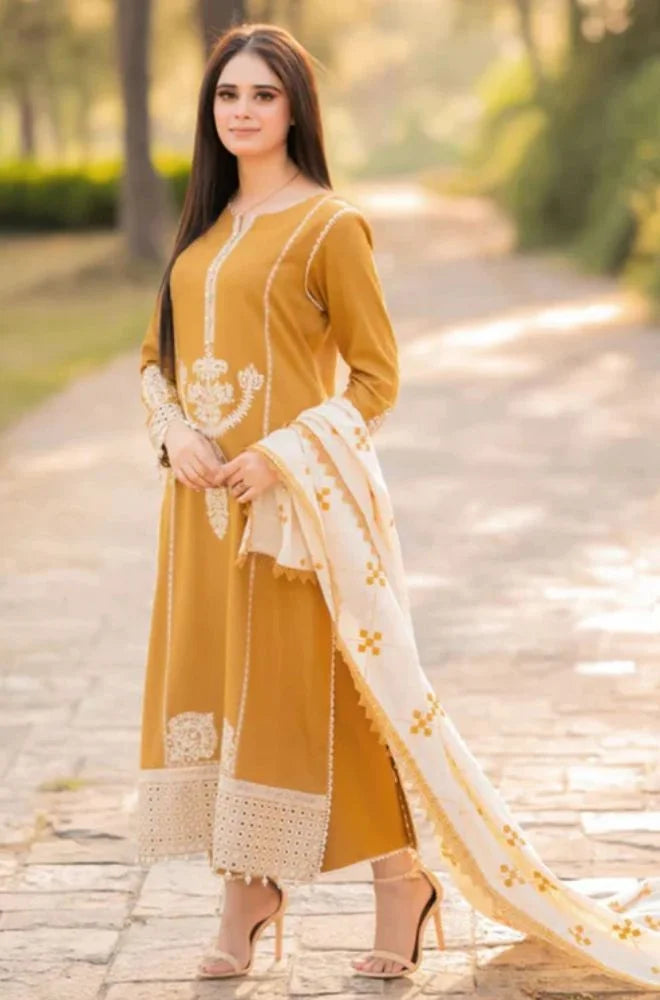 ZARA Dhanak 3pc Suit