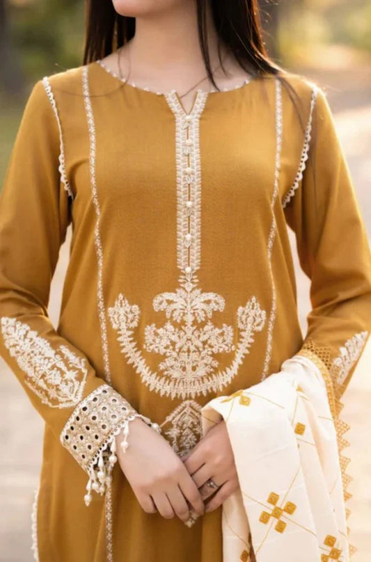 ZARA Dhanak 3pc Suit
