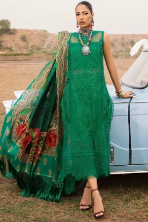 BIN ILYAS CHICKEN KARI & laser work FESTIVE COLLECTION